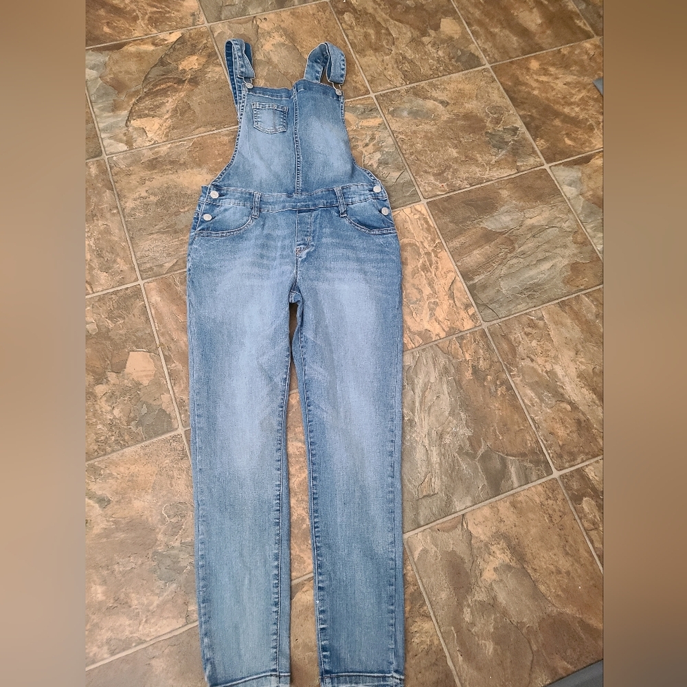 Wallflower Light Blue Denim Overalls